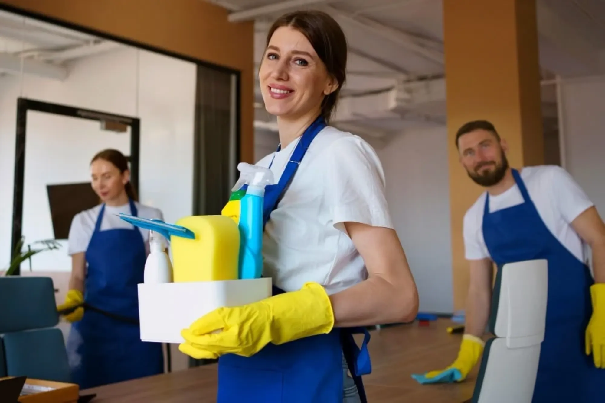 Standard Maid Cleaning